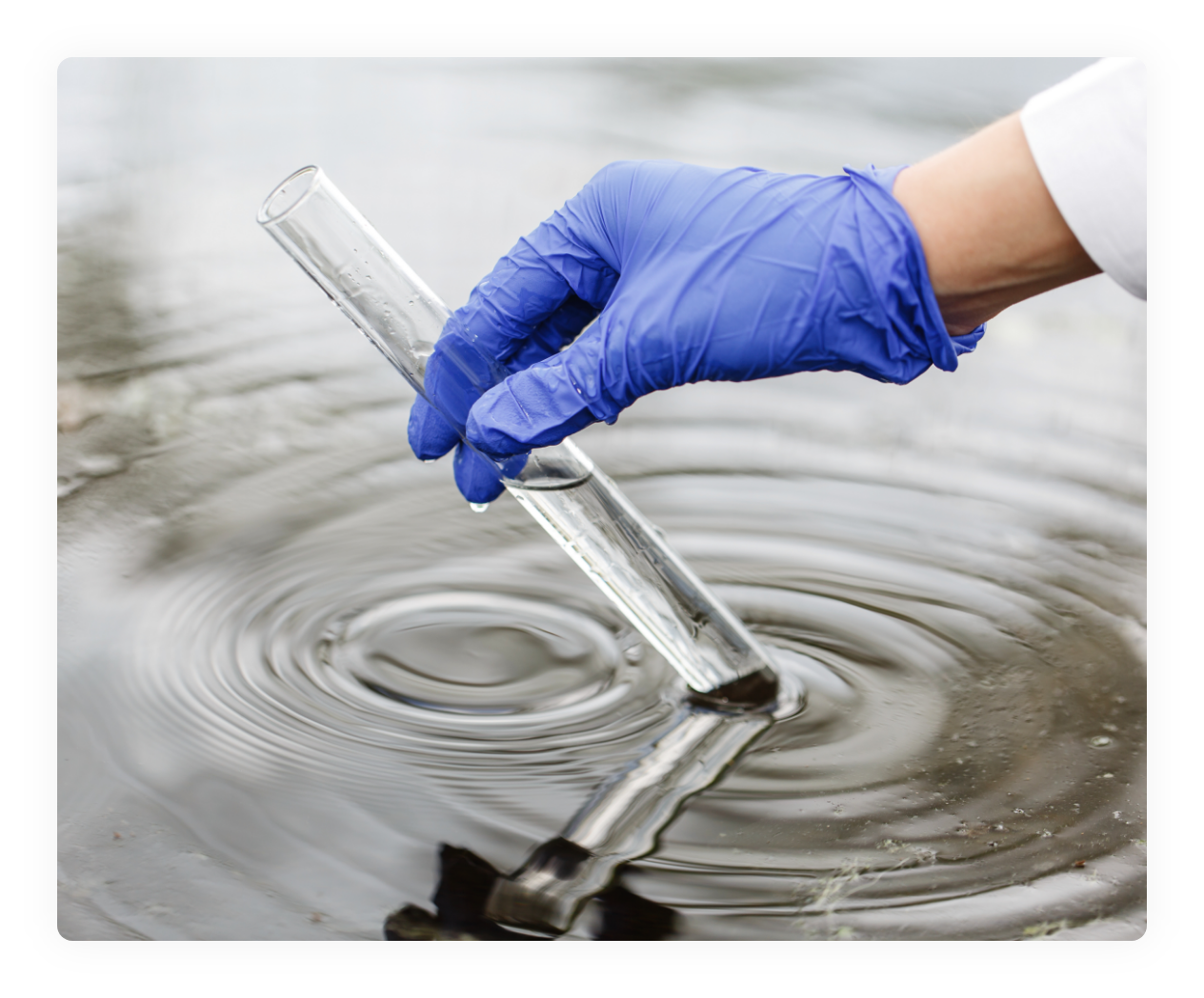 researcher-holds-test-tube-with-water-hand-blue-glove (1)